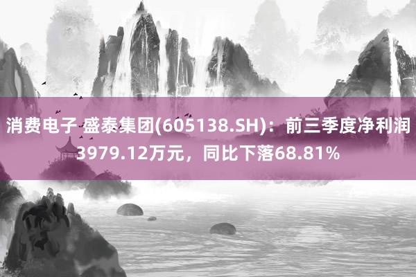 消费电子 盛泰集团(605138.SH)：前三季度净利润3979.12万元，同比下落68.81%