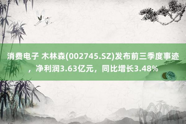 消费电子 木林森(002745.SZ)发布前三季度事迹，净利润3.63亿元，同比增长3.48%