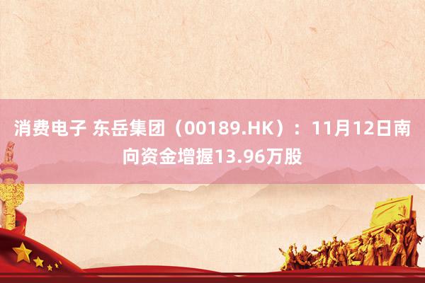 消费电子 东岳集团（00189.HK）：11月12日南向资金增握13.96万股