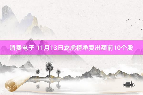 消费电子 11月13日龙虎榜净卖出额前10个股