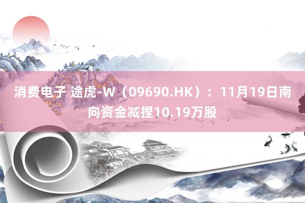 消费电子 途虎-W（09690.HK）：11月19日南向资金减捏10.19万股