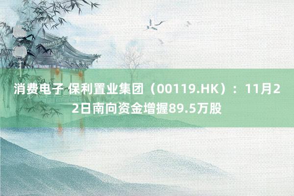 消费电子 保利置业集团（00119.HK）：11月22日南向资金增握89.5万股