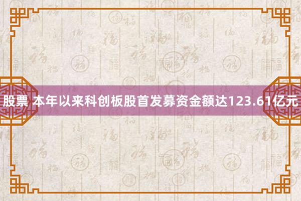 股票 本年以来科创板股首发募资金额达123.61亿元