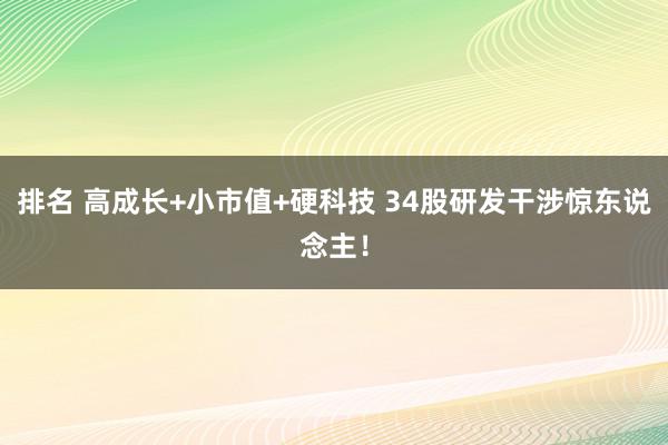 排名 高成长+小市值+硬科技 34股研发干涉惊东说念主！