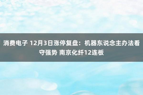 消费电子 12月3日涨停复盘：机器东说念主办法看守强势 南京化纤12连板