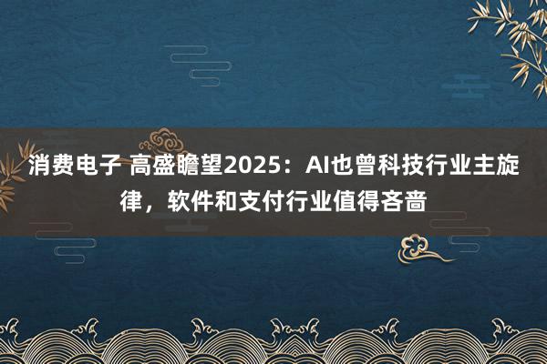 消费电子 高盛瞻望2025：AI也曾科技行业主旋律，软件和支付行业值得吝啬