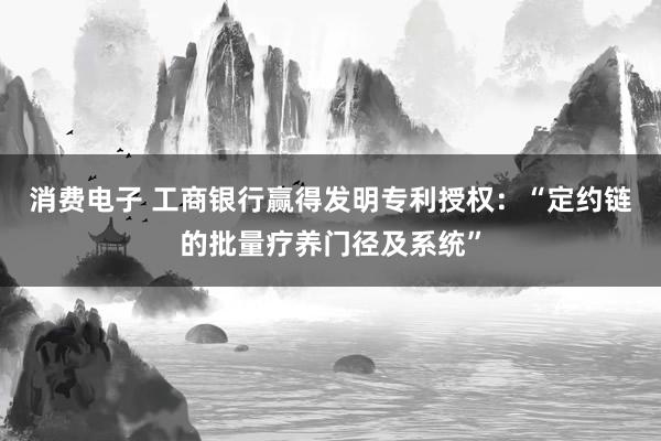 消费电子 工商银行赢得发明专利授权：“定约链的批量疗养门径及系统”