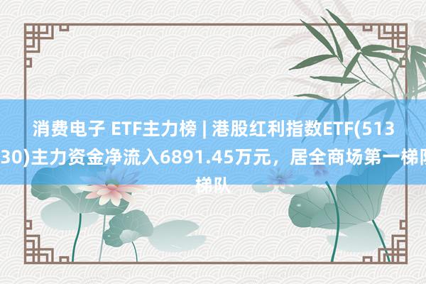 消费电子 ETF主力榜 | 港股红利指数ETF(513630)主力资金净流入6891.45万元，居全商场第一梯队