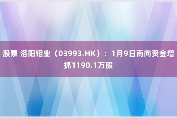 股票 洛阳钼业（03993.HK）：1月9日南向资金增抓1190.1万股