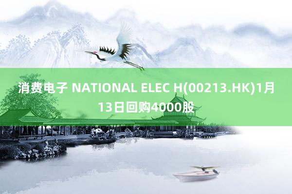 消费电子 NATIONAL ELEC H(00213.HK)1月13日回购4000股