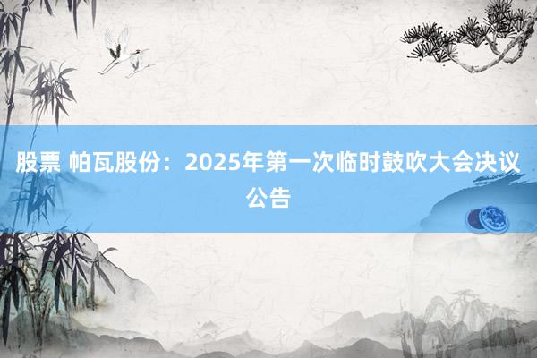 股票 帕瓦股份：2025年第一次临时鼓吹大会决议公告