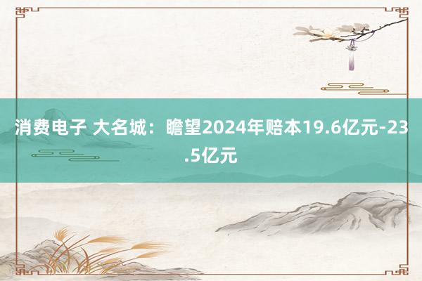 消费电子 大名城：瞻望2024年赔本19.6亿元-23.5亿元