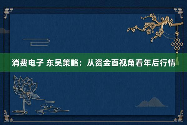 消费电子 东吴策略：从资金面视角看年后行情