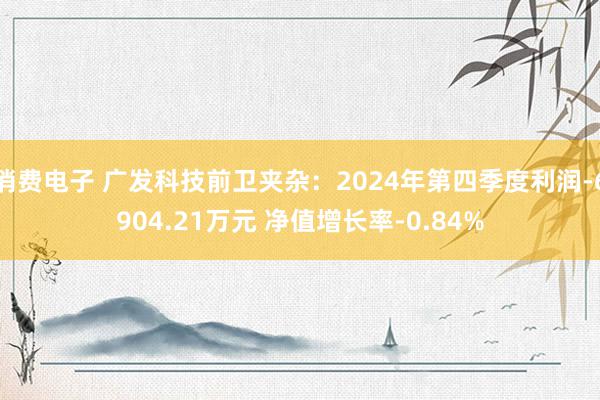 消费电子 广发科技前卫夹杂：2024年第四季度利润-6904.21万元 净值增长率-0.84%