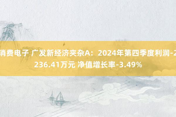 消费电子 广发新经济夹杂A：2024年第四季度利润-2236.41万元 净值增长率-3.49%