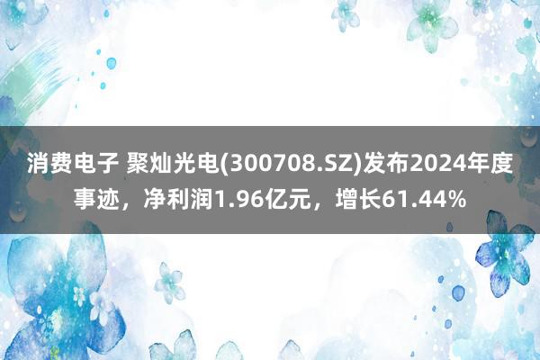 消费电子 聚灿光电(300708.SZ)发布2024年度事迹，净利润1.96亿元，增长61.44%