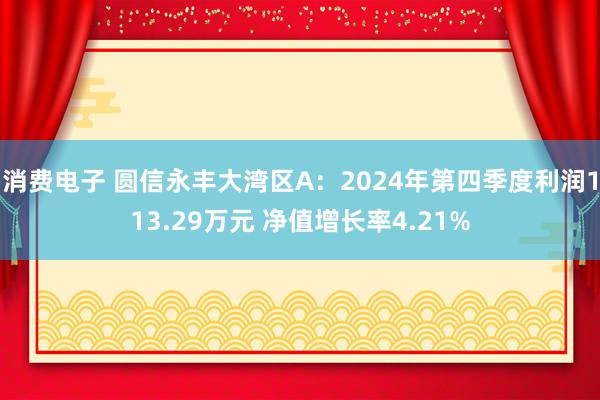 消费电子 圆信永丰大湾区A：2024年第四季度利润113.29万元 净值增长率4.21%