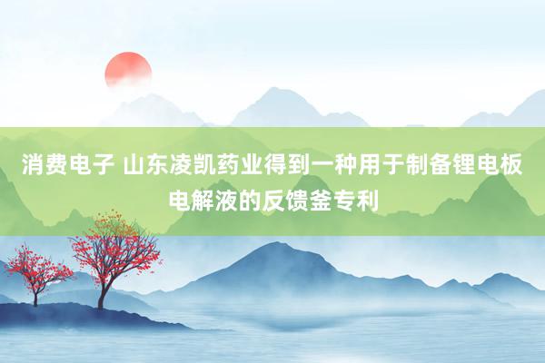 消费电子 山东凌凯药业得到一种用于制备锂电板电解液的反馈釜专利