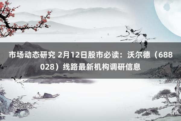 市场动态研究 2月12日股市必读：沃尔德（688028）线路最新机构调研信息