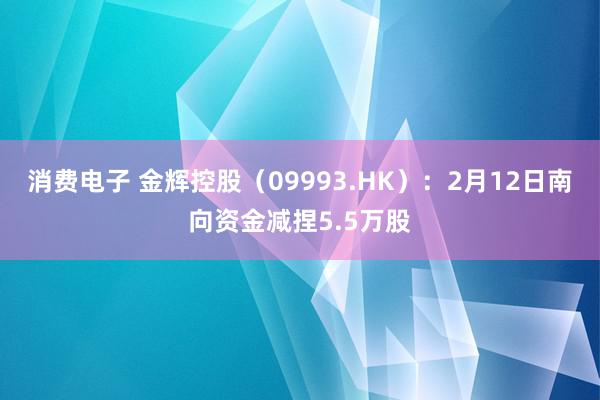 消费电子 金辉控股（09993.HK）：2月12日南向资金减捏5.5万股