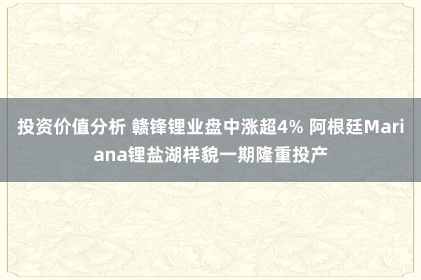 投资价值分析 赣锋锂业盘中涨超4% 阿根廷Mariana锂盐湖样貌一期隆重投产