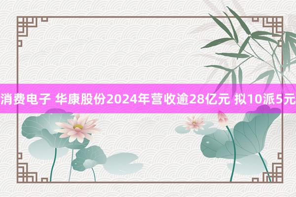 消费电子 华康股份2024年营收逾28亿元 拟10派5元