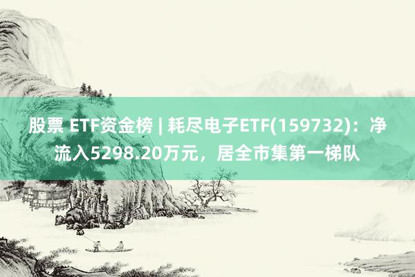 股票 ETF资金榜 | 耗尽电子ETF(159732)：净流入5298.20万元，居全市集第一梯队