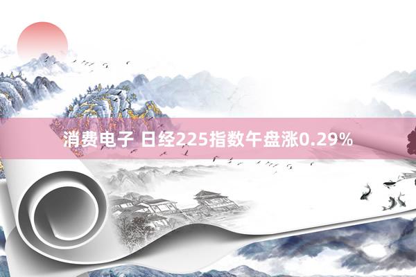 消费电子 日经225指数午盘涨0.29%