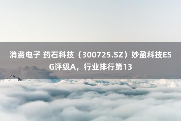 消费电子 药石科技（300725.SZ）妙盈科技ESG评级A，行业排行第13